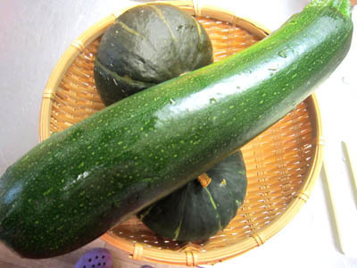 10-1 4479 zuk to kabocha.jpg