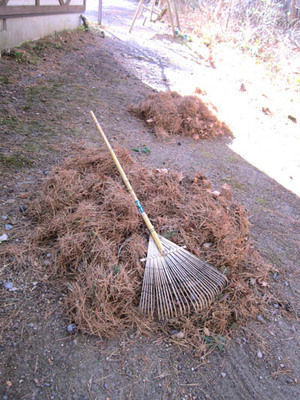 11-17 4779 matubasouji.jpg