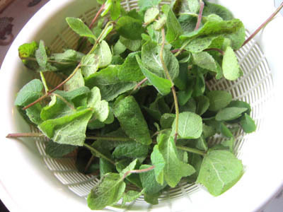 11-2 mint.jpg