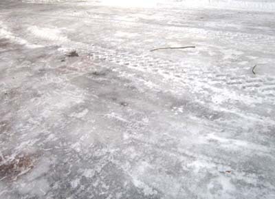 2-4 skate koori.jpg