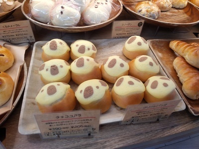 2025.2.20 pandapan.jpg