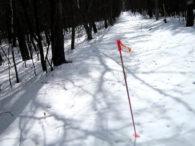 3-10 yukimichi sanpo.jpg