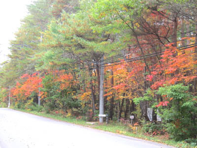 4540 10-12 kouyou.jpg