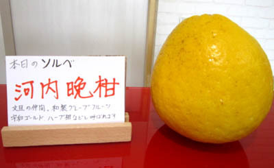6-6 kawauchibankan.jpg