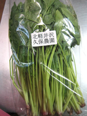 6-8 kubonouen hourenso.jpg