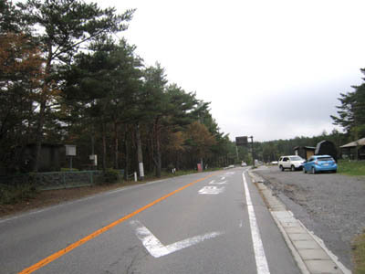 kireinisurukai.jpg