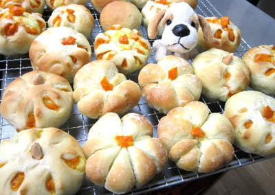 punpukin pan.jpg