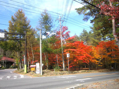 singou mae no kouyou.jpg